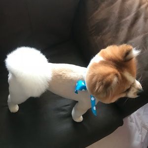 Meet your Posher, Damaris